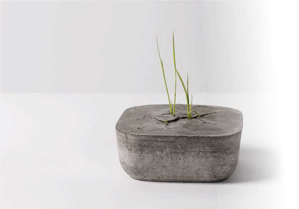 Cement Plus