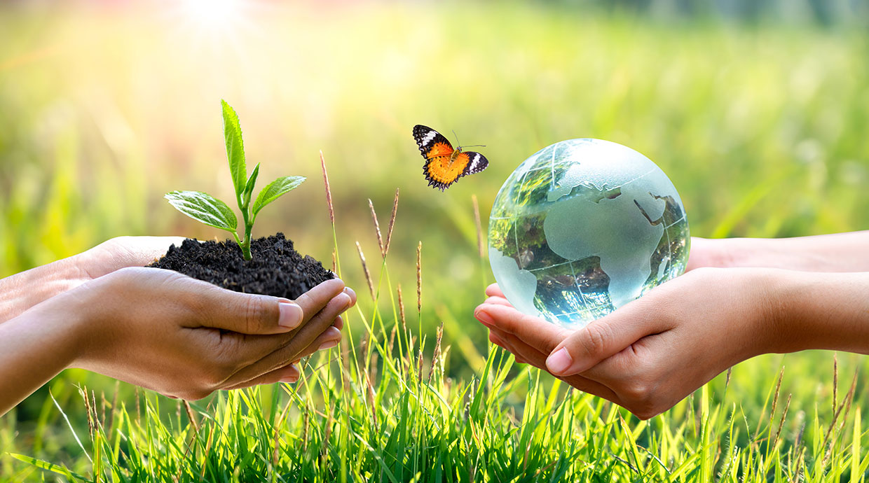 Cement Plus Sustainability